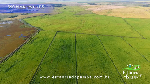 Renato Borghetti   Kilómetro Once (Transito Cocomarola)   Instrumental Sesc Brasil [VDownloader].00_00_58_08.Quadro021_5fbbbbbfd1d2de4cd03bef8d393e72bcc86fa40f.jpg